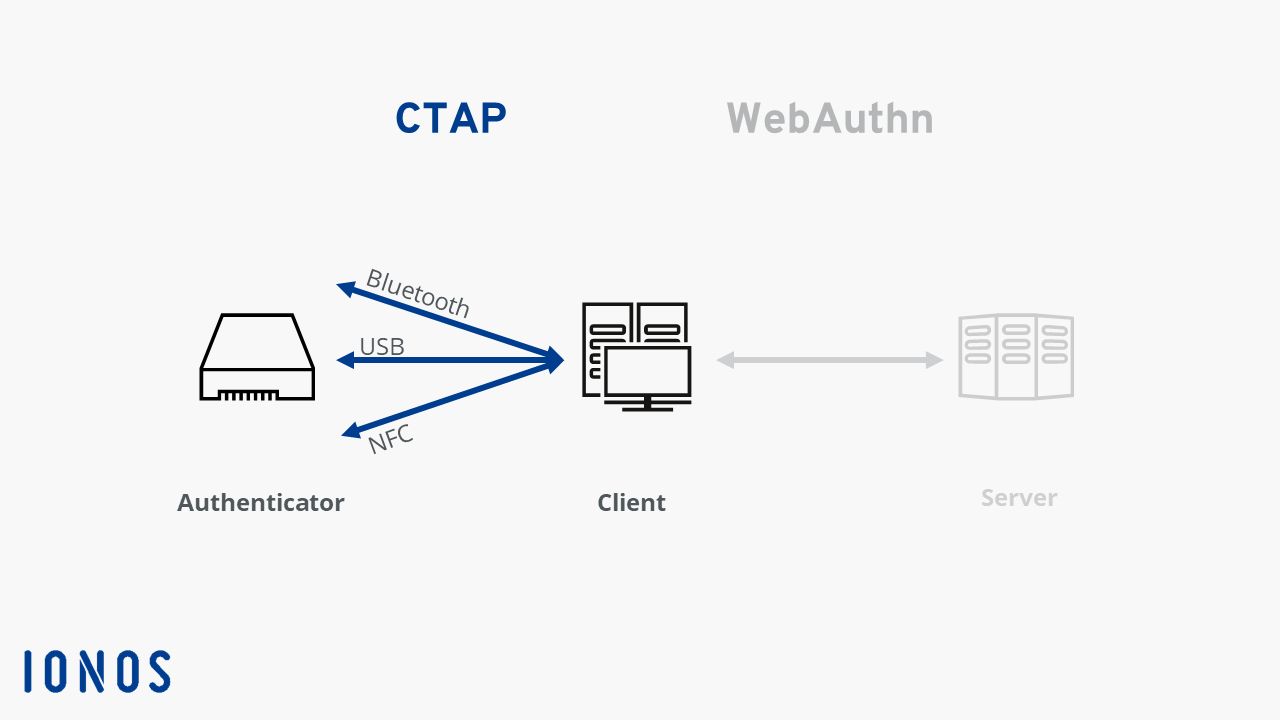 Schematische Darstellung von CTAP