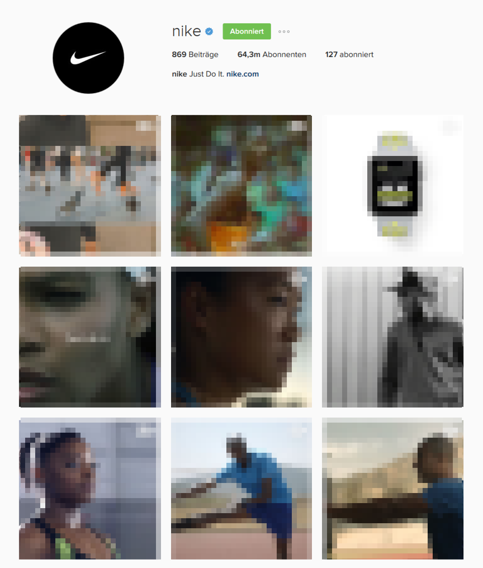 Unternehmensprofil von Nike in der Browseransicht