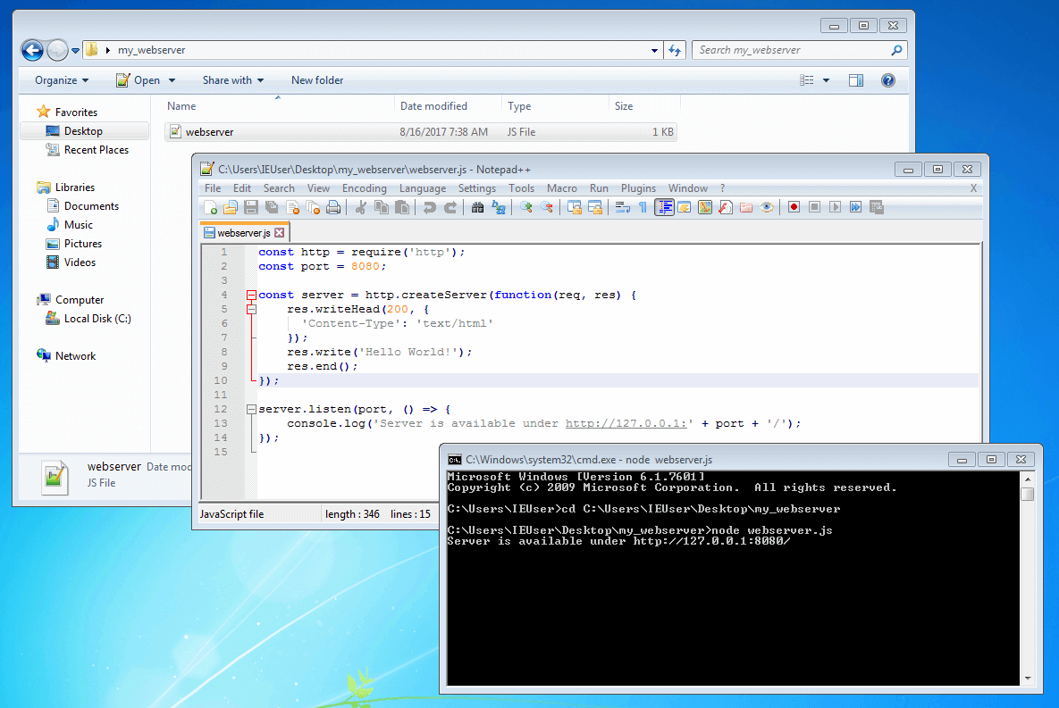 Terminalausgabe nach der Ausführung des Webserver-Skripts