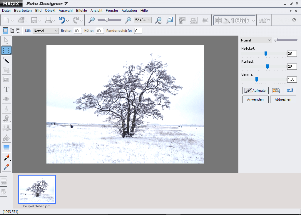 Screenshots der kostenlosen Bildbearbeitungssoftware von MAGIX: Foto Designer 7