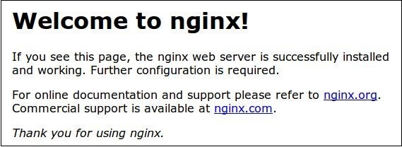 Begrüßungsnachricht bei erfolgreicher Installation von NGINX