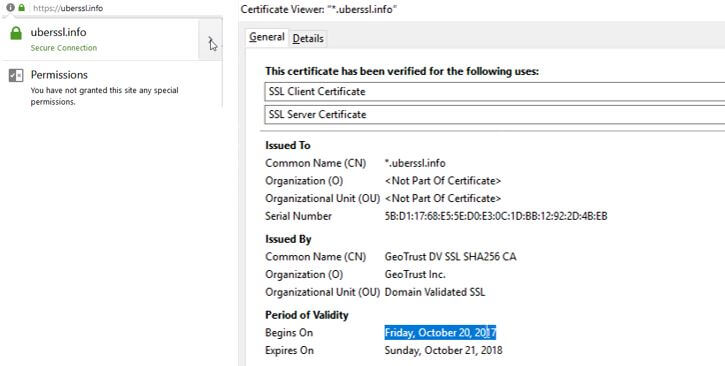 So rufen Sie Detailinformationen zu einem SSL-Zertifikat mit Google Chrome ab