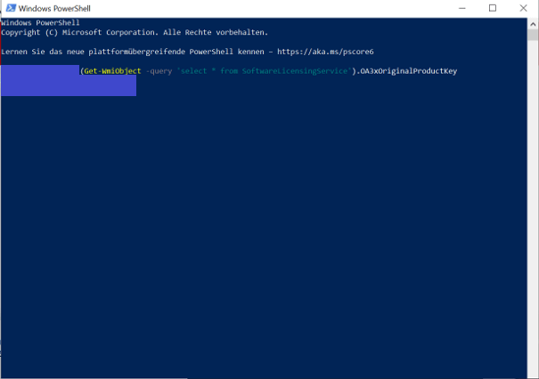 Anzeige des Windows Keys in der Windows PowerShell (Windows 10)