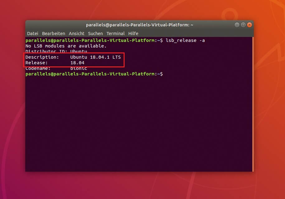 Das Terminal zeigt die verwendete Ubuntu-Version an