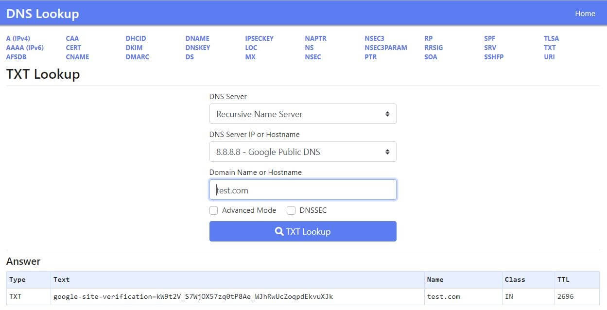 Screenshot des DNS-Lookup-Tools