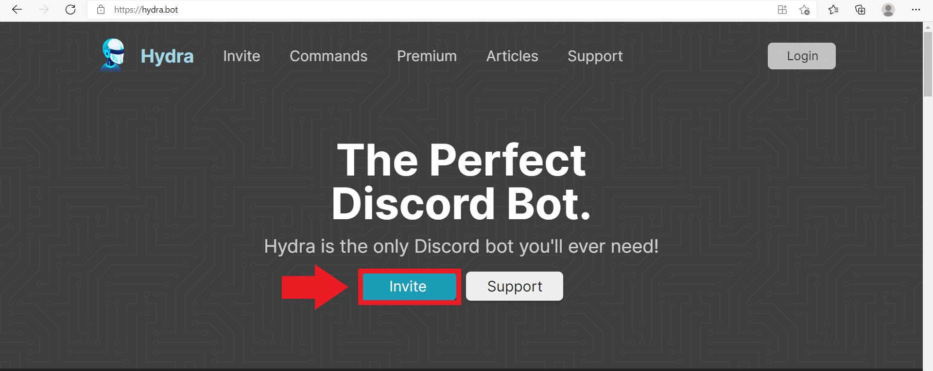 Klicken Sie auf „Invite“, um den Musikbot zu Ihrem Discord-Server hinzuzufügen