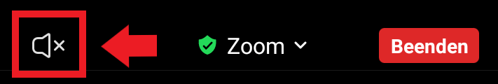 Überprüfen Sie, ob der Zoom-Lautsprecher auf aktiv gestellt ist. Es darf kein X zu sehen sein.