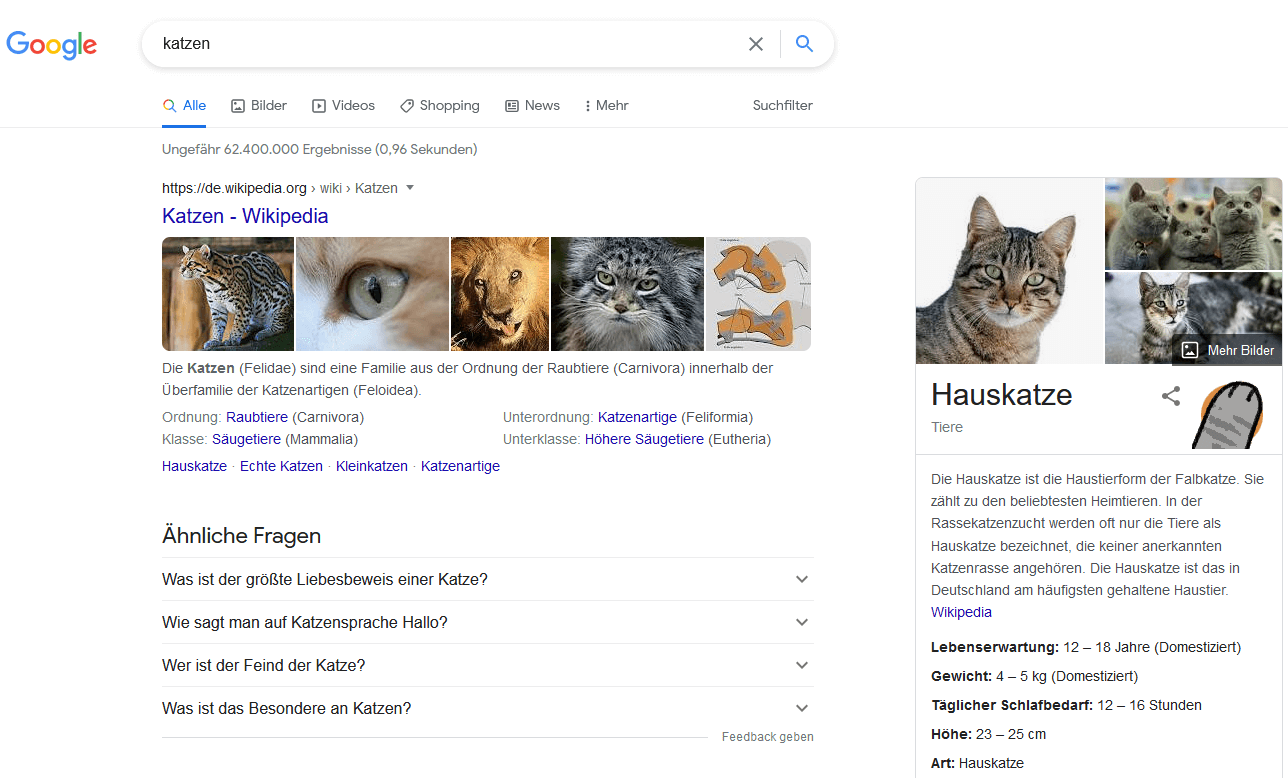 Google-Suchergebnisse für den Begriff „Katzen“