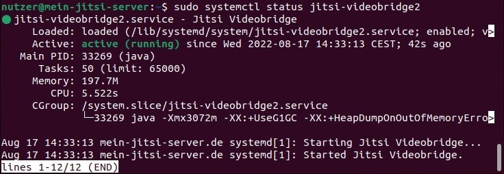 Jitsi-Meet-Server: Aktivitäts-Check via Ubuntu-Terminal