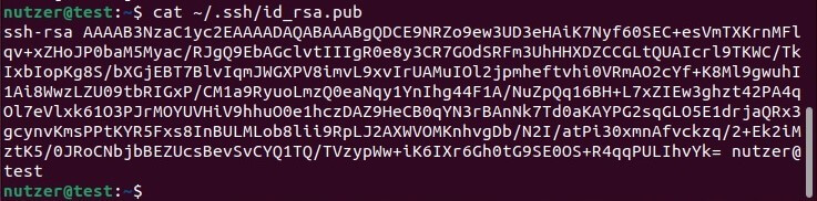 Generierter öffentlicher SSH-Key im Ubuntu-Terminal