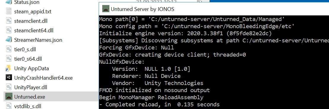 Unturned.exe und gestarteter Server im Eingabeaufforderung-Fenster