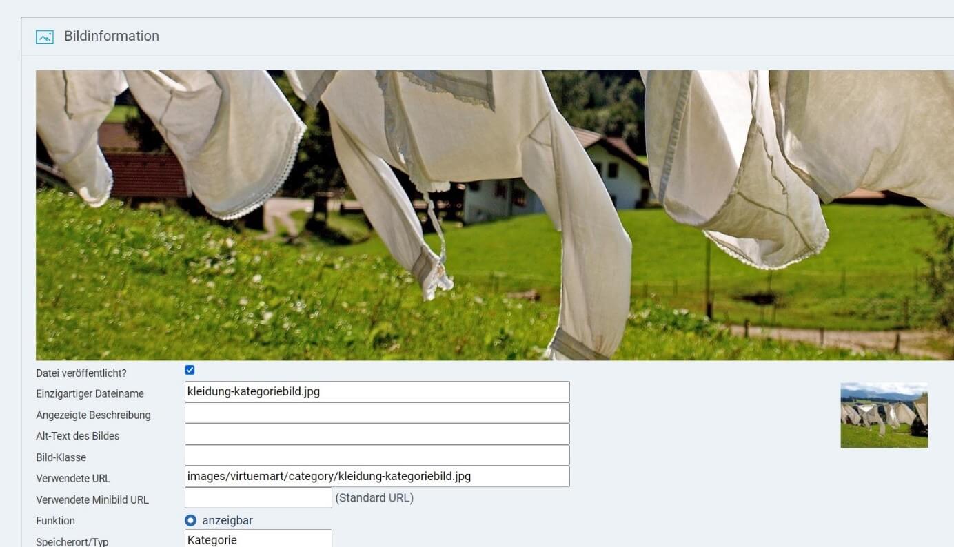 VirtueMart-Joomla-Shop: Bildinformationen für Kategoriebild definieren