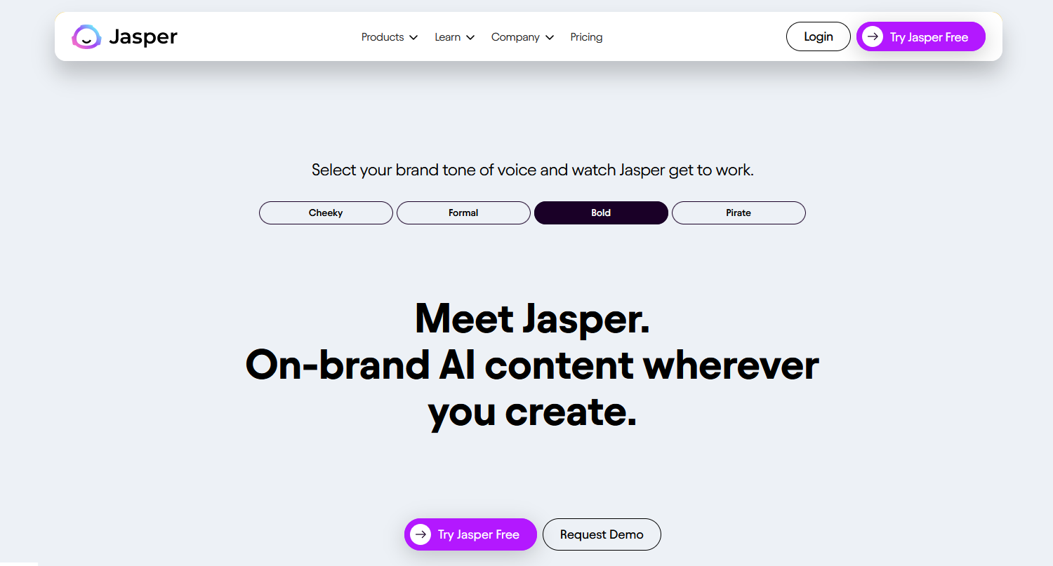 Screenshot der Jasper-Homepage