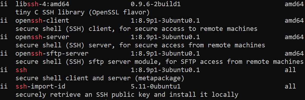 Terminal: Installierte OpenSSH-Pakete