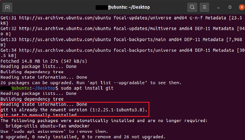 Terminal-Ansicht nach Installation von Git unter Ubuntu 20.04