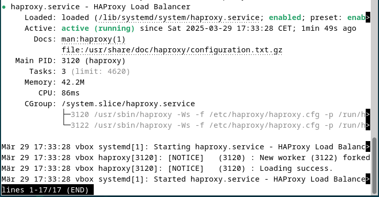 Screenshot des aktuellen HAProxy-Status im Terminal Screenshot des aktuellen HAProxy-Status im Terminal