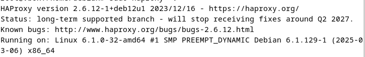 Screenshot der aktuellen HAProxy-Version im Terminal Screenshot der aktuellen HAProxy-Version im Terminal