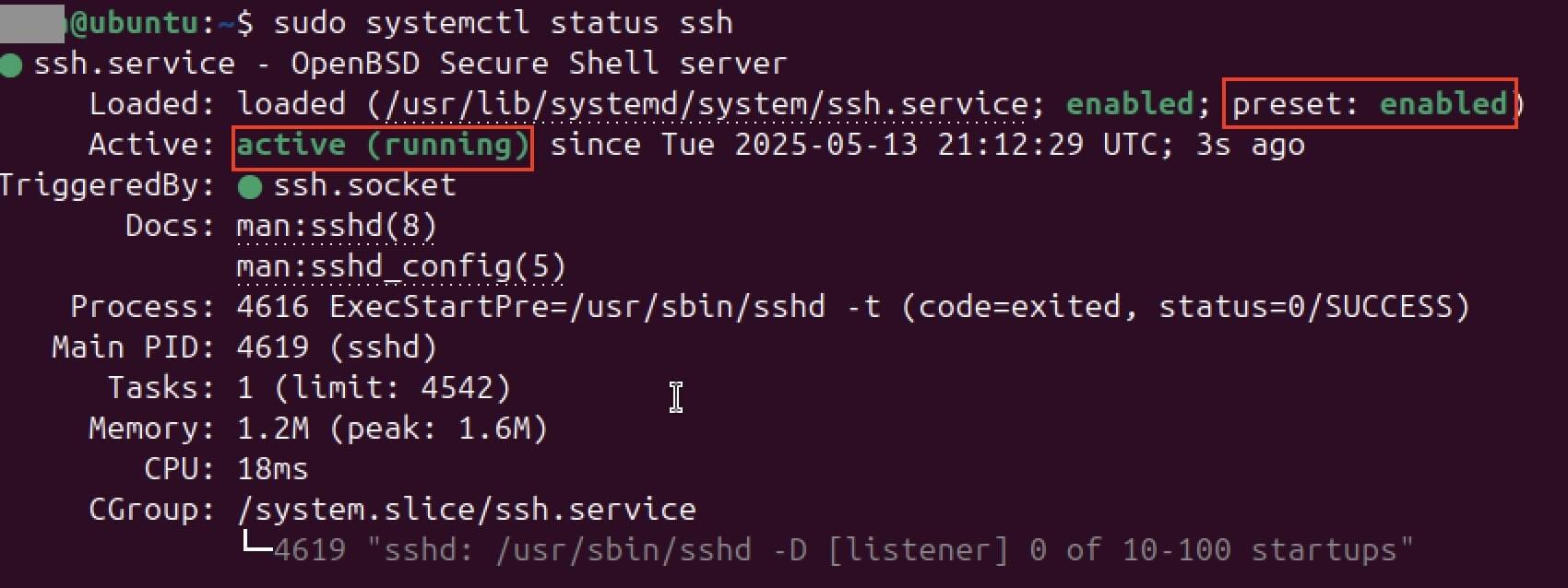 Screenshot des Status von SSH im Terminal Bild: Screenshot des Status von SSH im Terminal