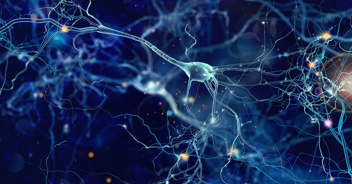 Deep Learning: Wenn das menschliche Gehirn zum Vorbild wird