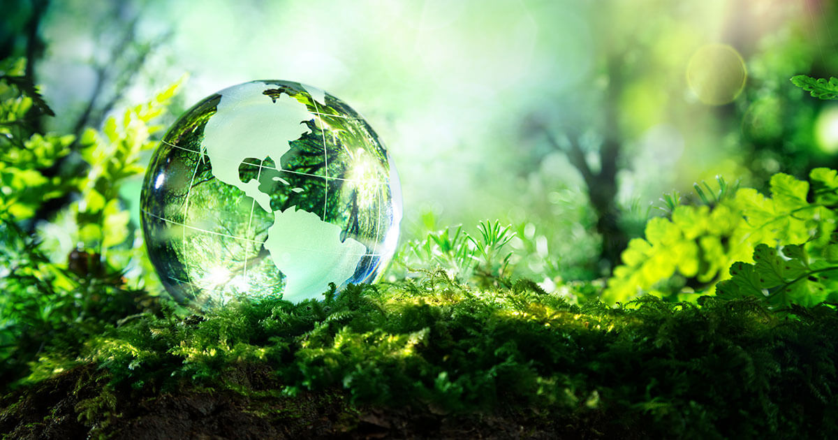 Ecosia als Standardsuchmaschine einrichten: Schritt für Schritt