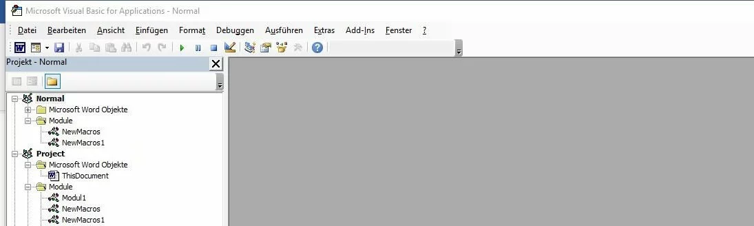Bild: Projekt-Explorer im Visual Basic Editor