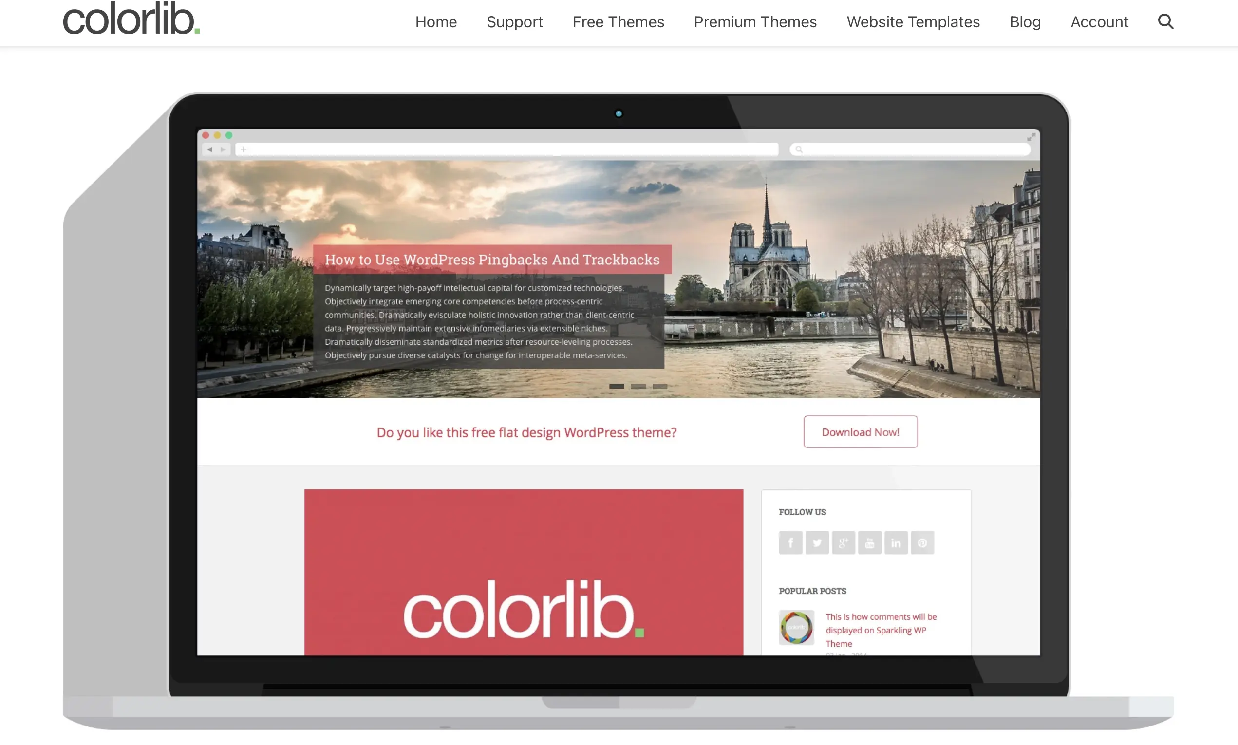 Startseite des Sparkling-Entwicklers Colorlib Bild: Startseite des Sparkling-Entwicklers Colorlib