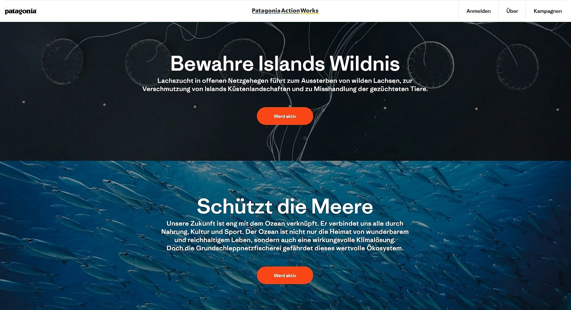 Patagonia-Website zu Patagonia Action Works Kampagnen Bild: Patagonia-Website zu Patagonia Action Works Kampagnen