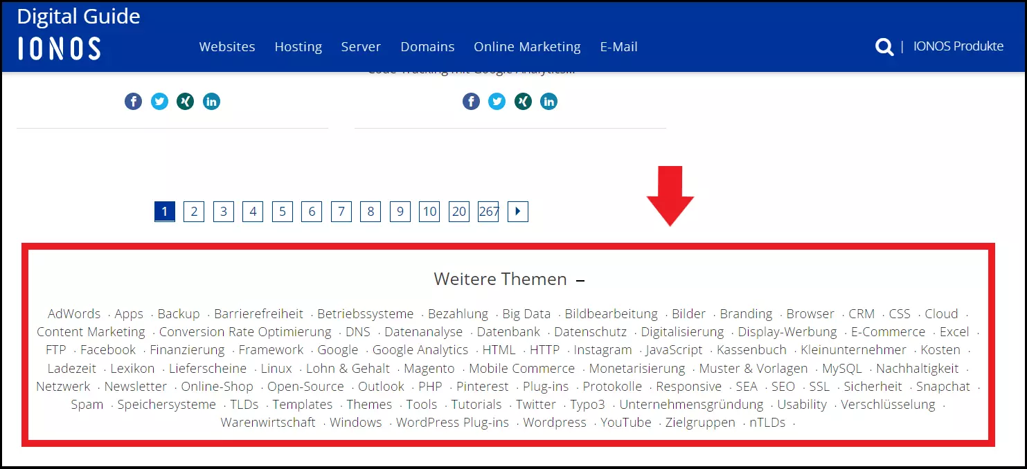 Die Tag-Cluster für das Onlinemagazin IONOS Digital Guide