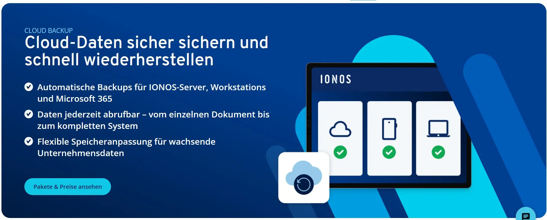 Bild: Screenshot der Seite von IONOS Cloud Backup