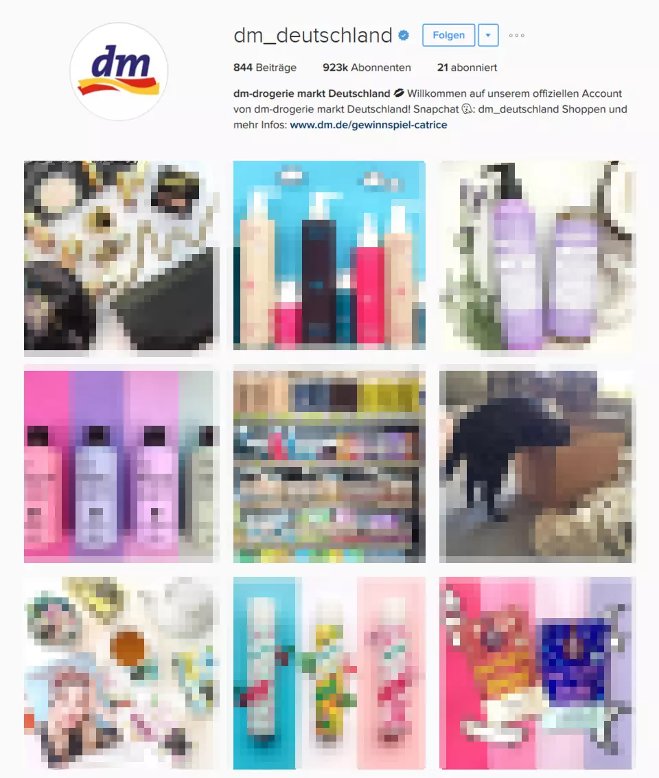 : Instagram-Profil von dm_deutschland in der Webansicht