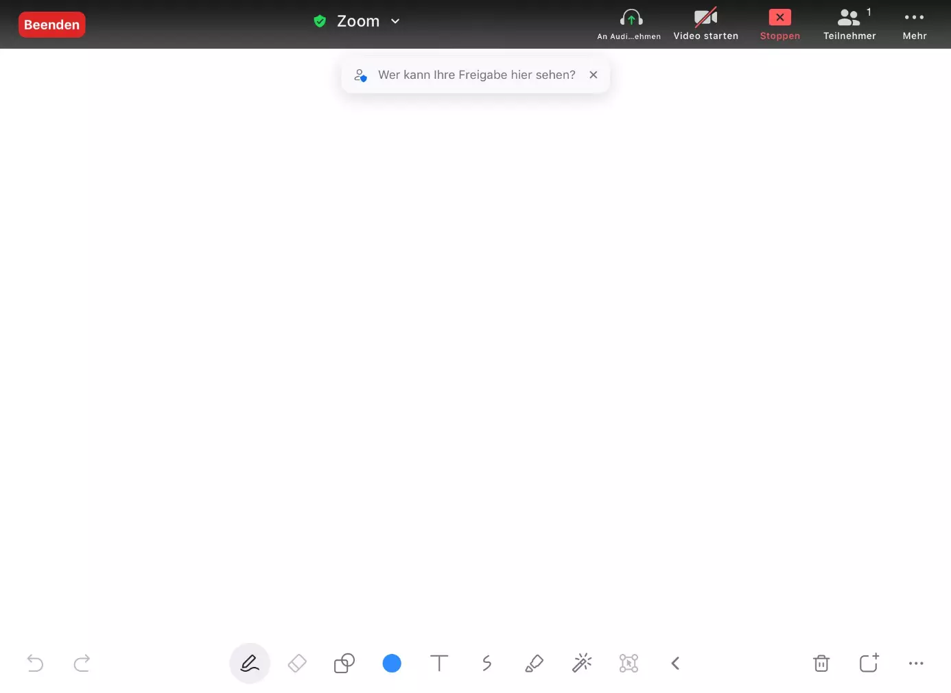 Bild: Leeres Zoom-Whiteboard in der iPad-App