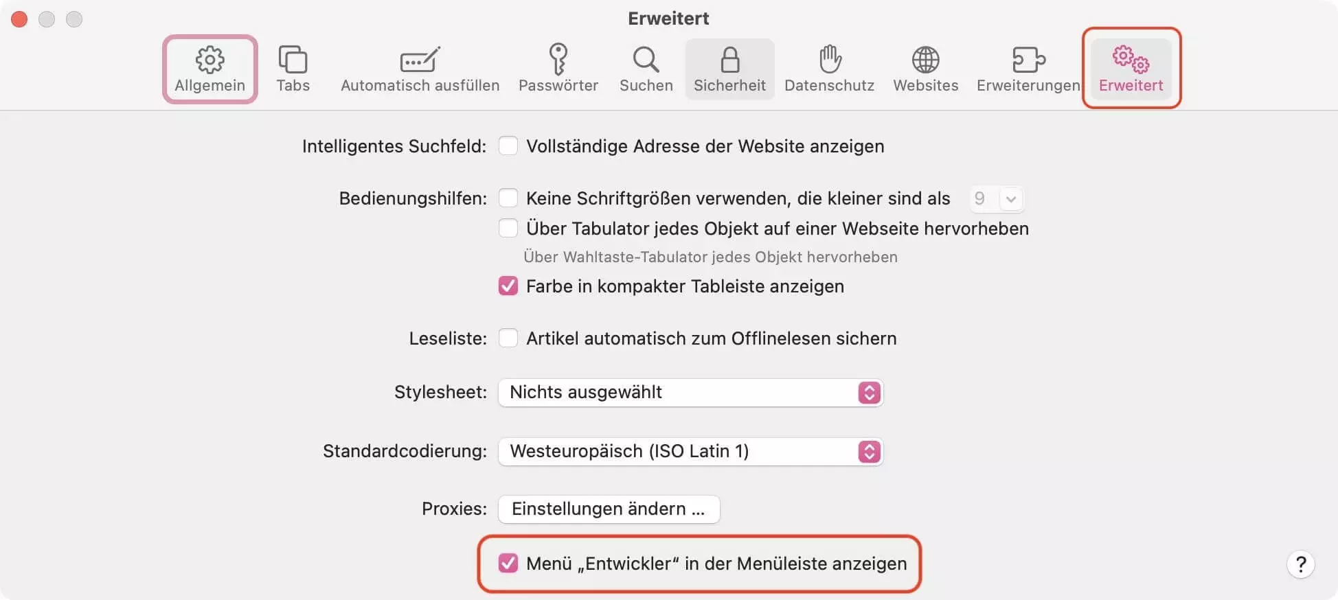 Bild: „Entwickler“-Menü in den erweiterten Einstellungen von Safari