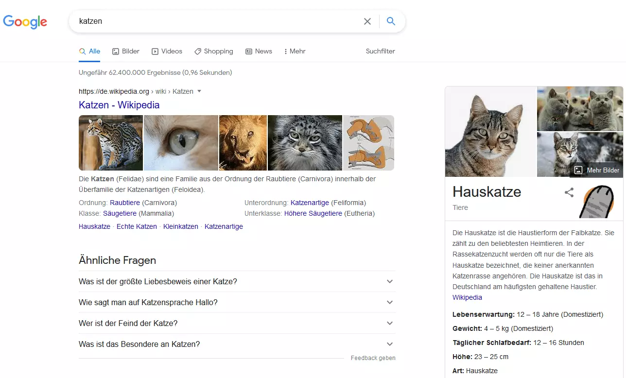 Bild: Google-Suchergebnisse für den Begriff „Katzen“