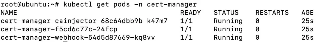 Cert-Manager Install mit Helm Bild: Cert-Manager Install mit Helm