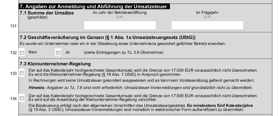 Bild: Angabe-zur-Anmeldung-und-Abfuehrung-der-Umsatzsteuer.png