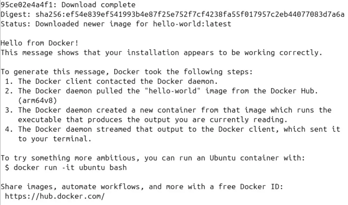 Bild: Screenshot des Dockers „Hello World“-Containers