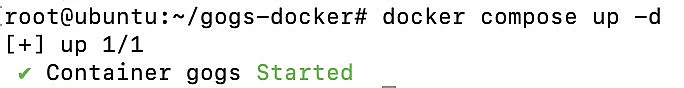 Gestarteter Gogs-Docker-Container im Terminal Bild: Gestarteter Gogs-Docker-Container im Terminal