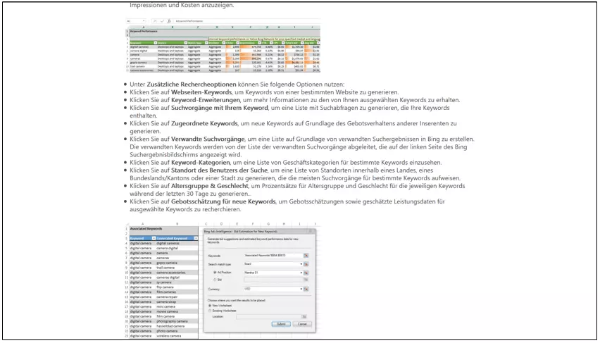 Bild: Bing Ads Intelligence Tool