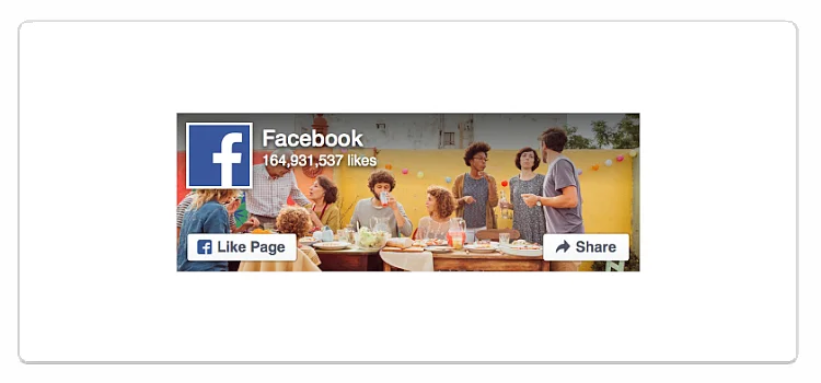 Bild: Das Page-Plugin von Facebook