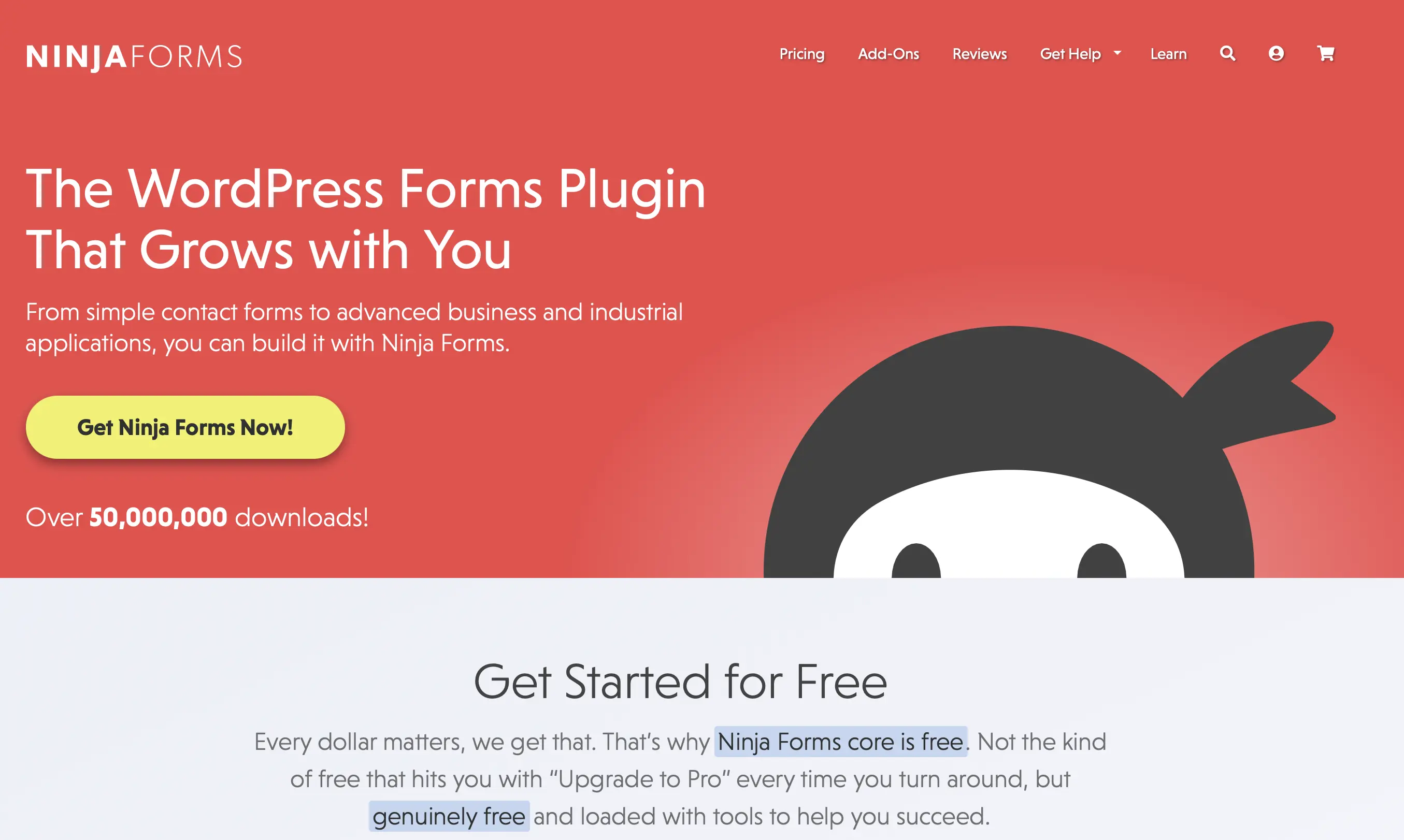 Bild: Homepage des WordPress-Plugins Ninja Forms