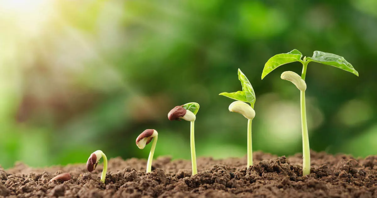 Bild: ISO 14001 &ndash; Norm f&uuml;r mehr Nachhaltigkeit