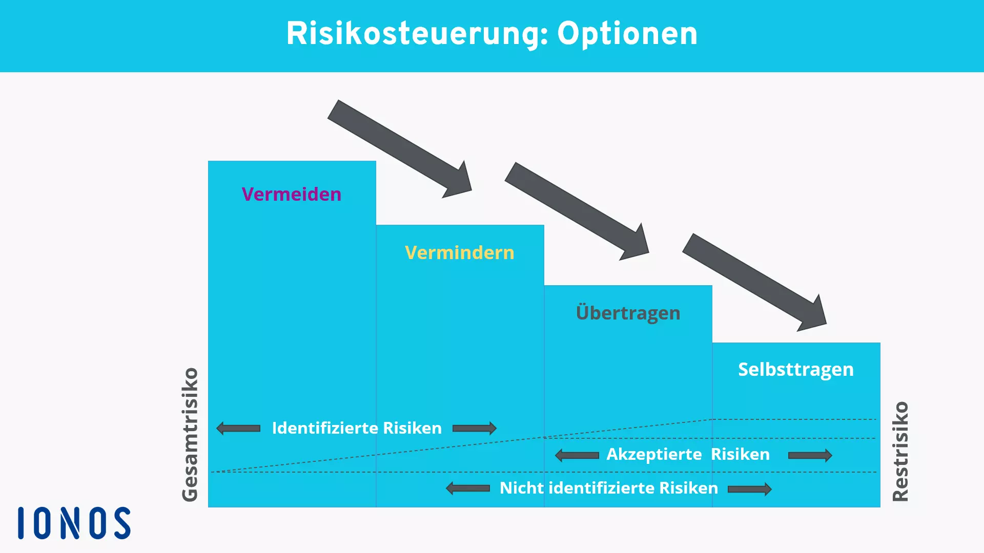 Bild: optionen-der-risikosteuerung.png