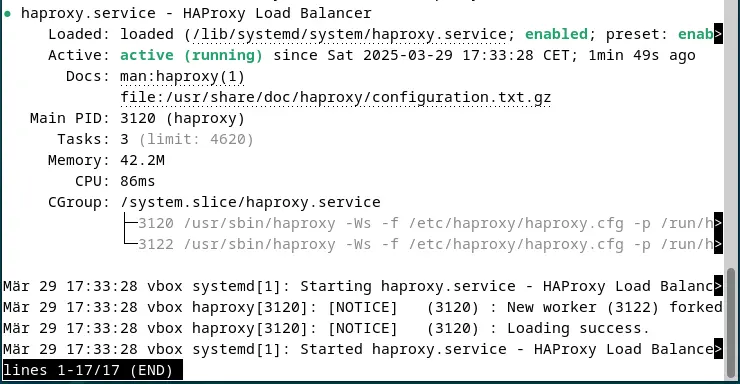 Bild: Screenshot des aktuellen HAProxy-Status im Terminal