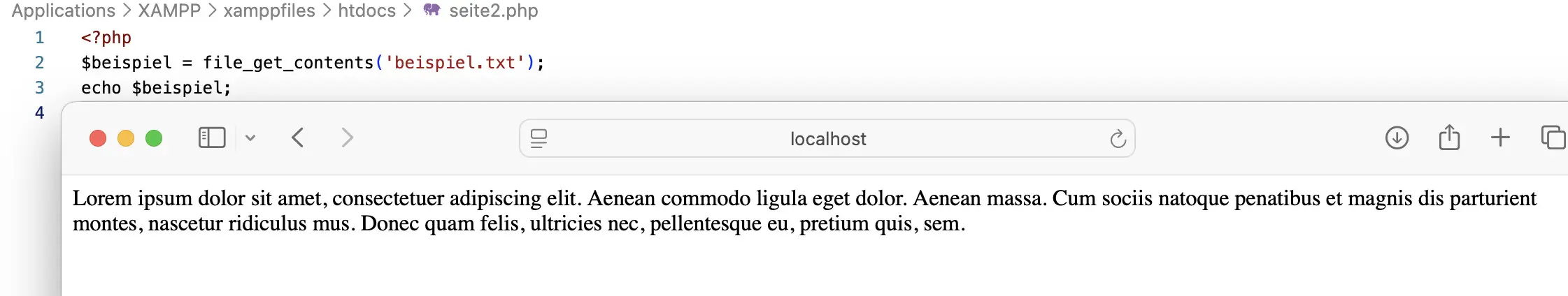 Das Skript liest die Datei beispiel.txt aus Bild: Das Skript liest die Datei beispiel.txt aus