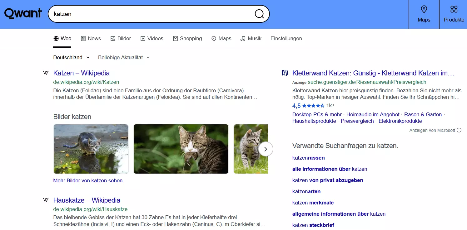 Bild: Qwant-Suchergebnisse für den Begriff „Katzen“
