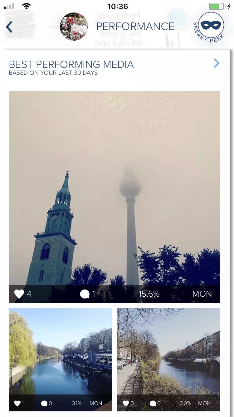 Performance-Bereich der Instagram-Statistik-App Plann]