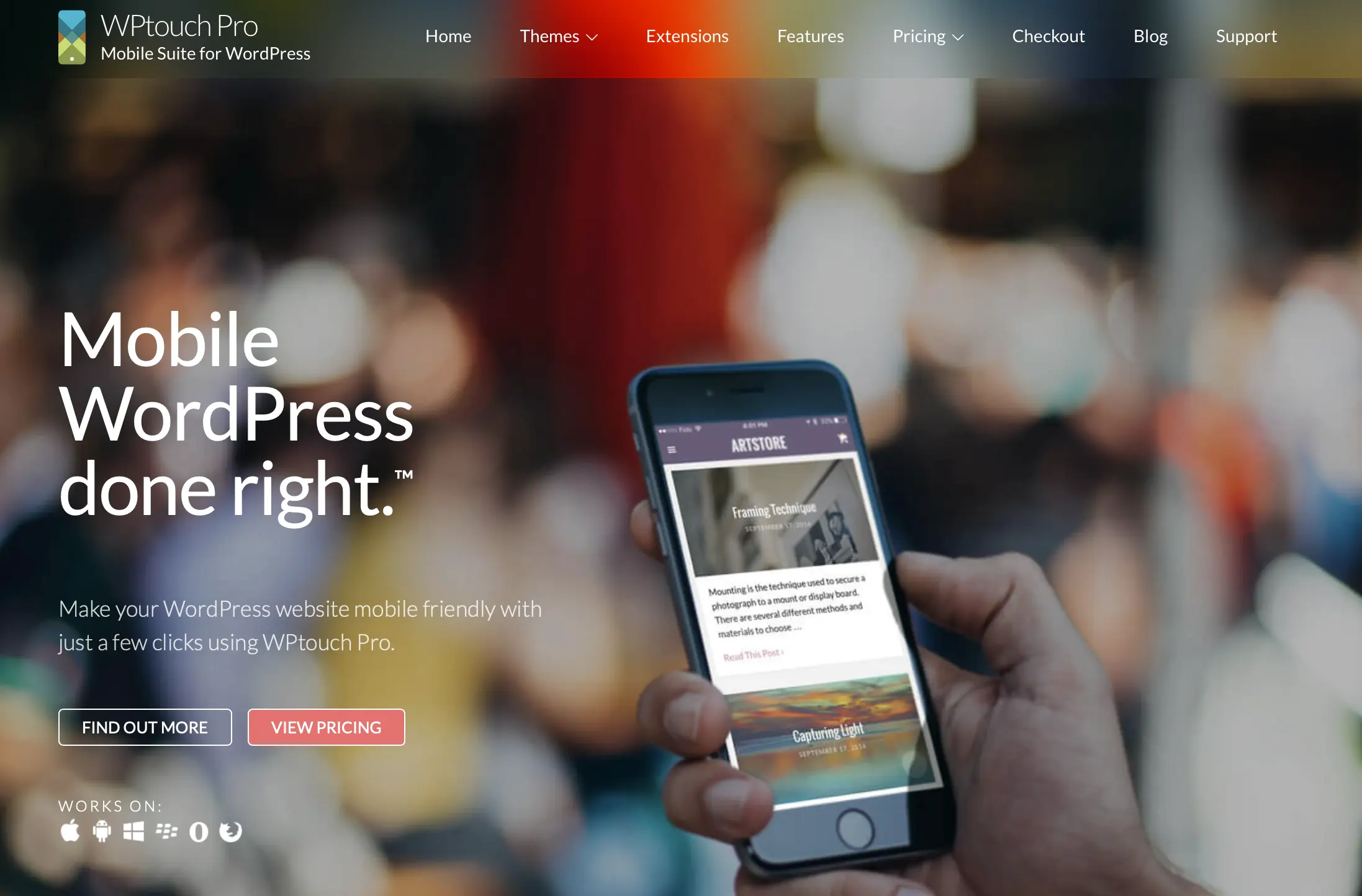 Bild: Screenshot der Website von WPtouch Pro