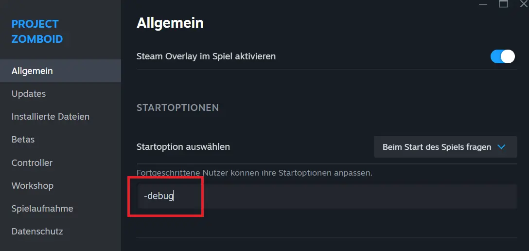 debug-Eintrag in den Steam-Startoptionen Bild: debug-Eintrag in den Steam-Startoptionen