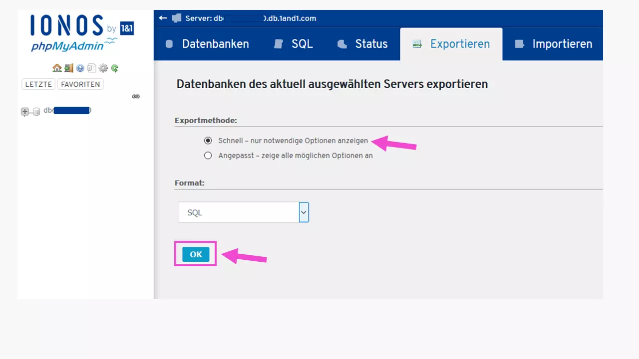 Bild: WordPress Staging 1. Schritt: Sichern der bestehenden Datenbank