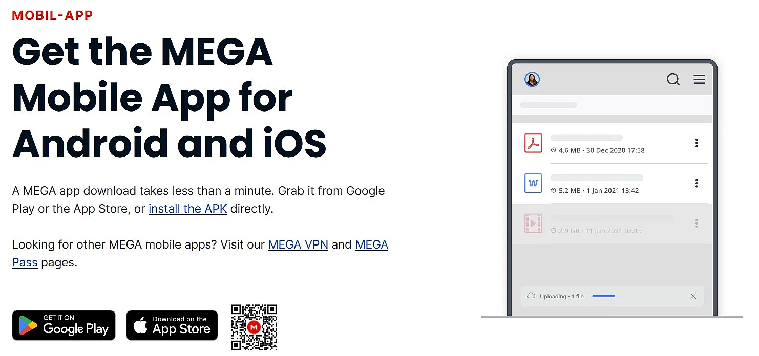 MEGA Screenshot Bild: MEGA Screenshot
